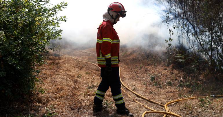 2,000 hectares of burning area in Montesinho Park