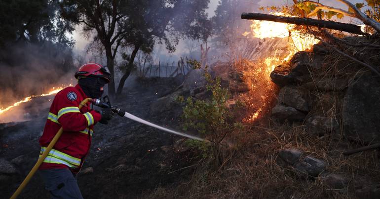 Vineyard fire dominated this Sunday morning