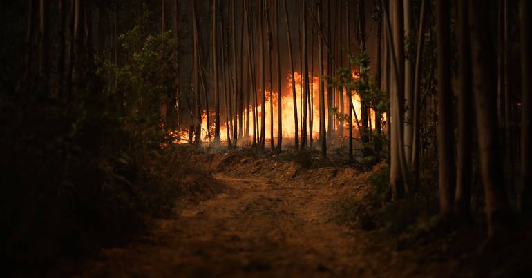 Fire in Gondomar mobilizes more than 120 operatives