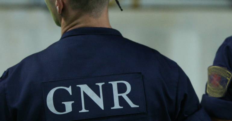 GNR seizes more than half a ton of psychoactive nut in Lisbon