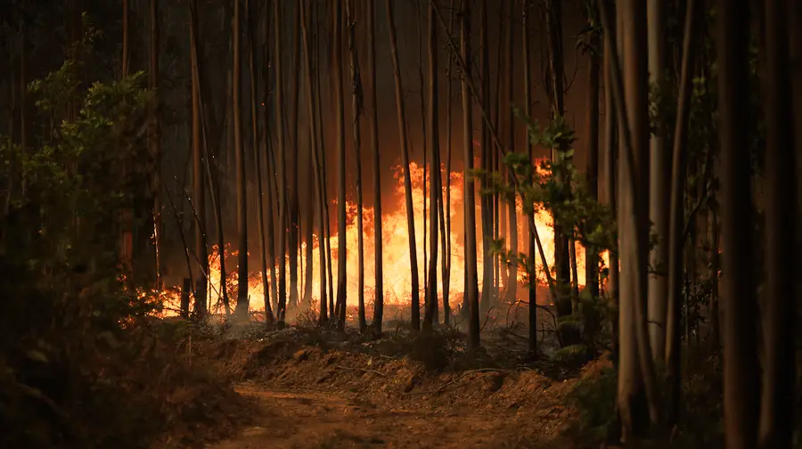 14 Airways Fight Fire in Algodres Furnaces
