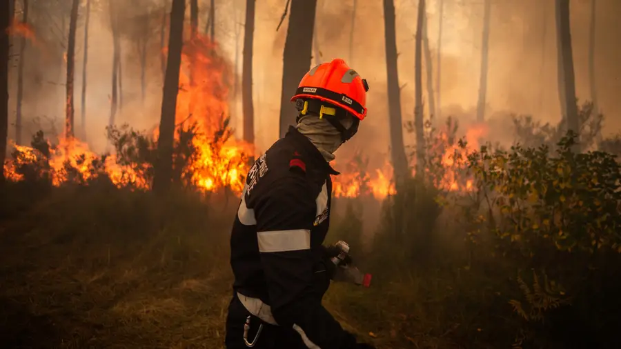 France: support of 100 million for areas affected by fire