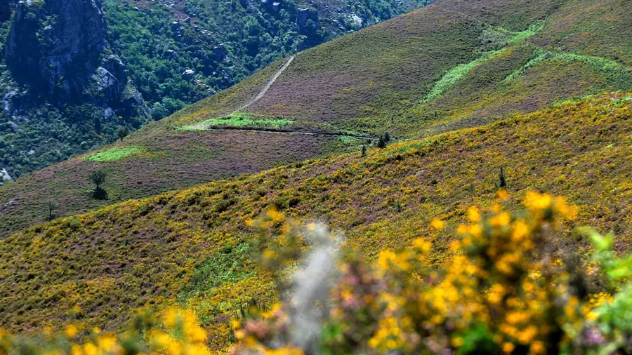ICNF highlights compatibility between sport and nature