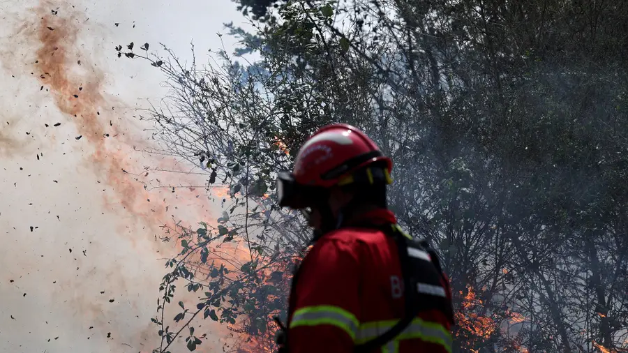 Arouca critical firefighter operated this Sunday