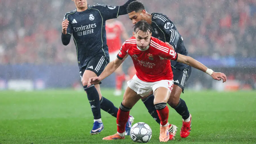 Dedic leaves Benfica and reinforces Newcastle for 35.9 million