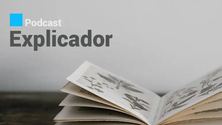Observador