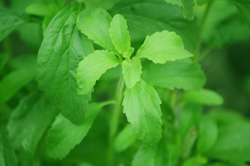 Antara