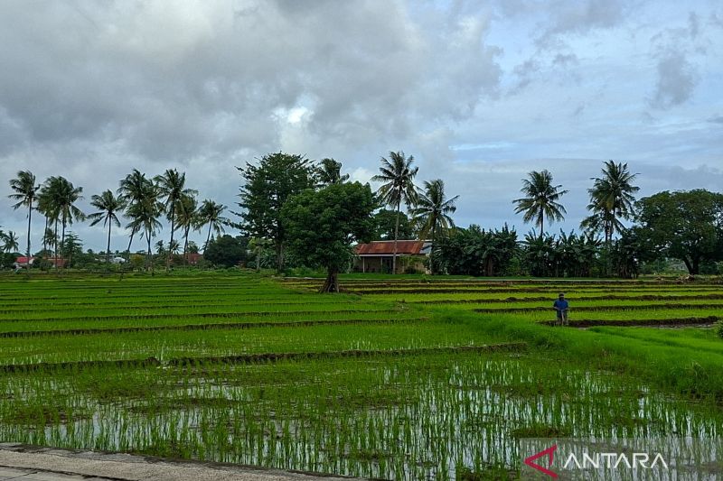 Antara