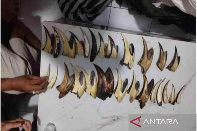 Antara