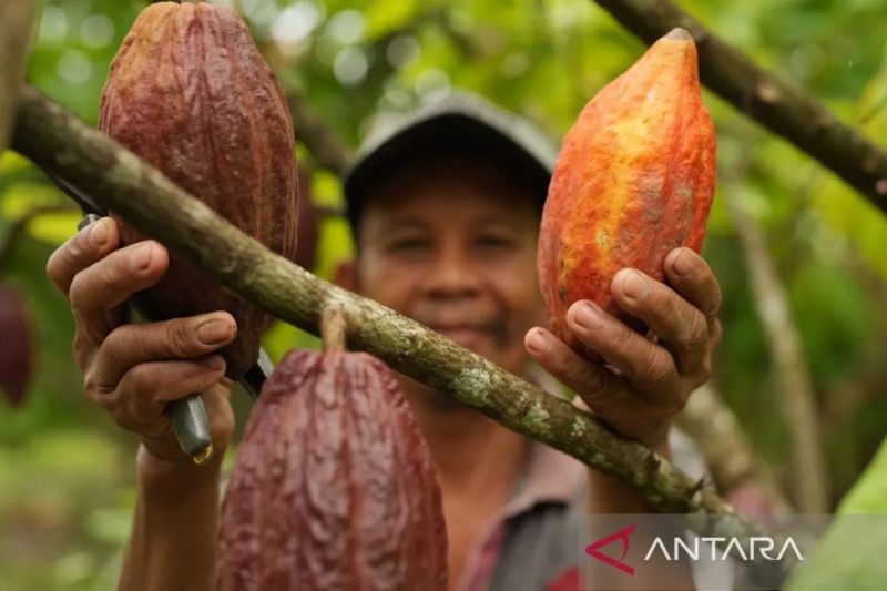 Antara