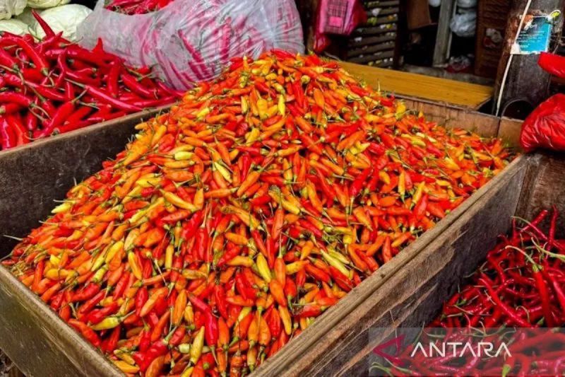 Antara