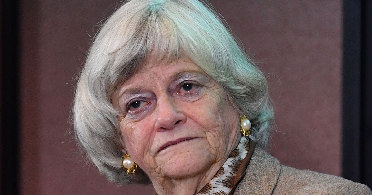Ann Widdecombe murder probe: Counter Terrorism Police say veteran politician killed in 'targeted attack'