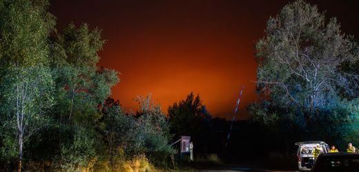 Forest fires in Belgium closer to border – Fire department waters fields near Monschau