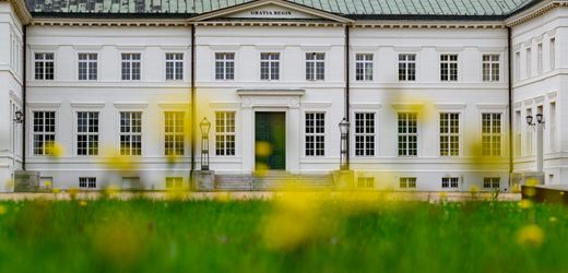 DER SPIEGEL - Politik