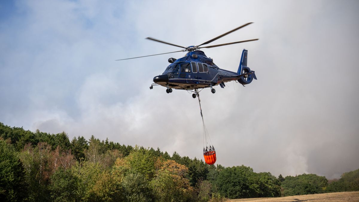 Hürtgenwald: Forest fire in the Eifel has not spread further at night