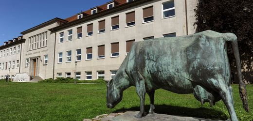 DER SPIEGEL