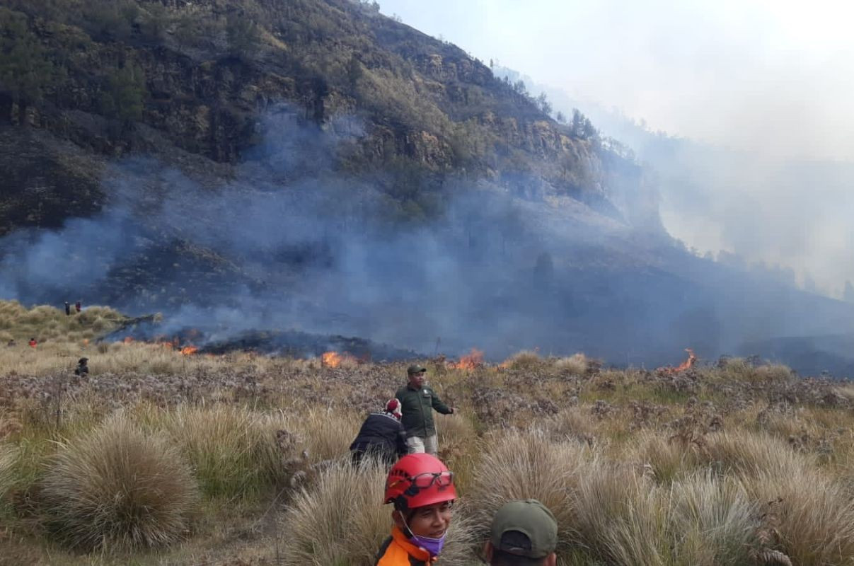 BNPB: Area Burned in Mount Bromo Area Reaches 60 Hectares