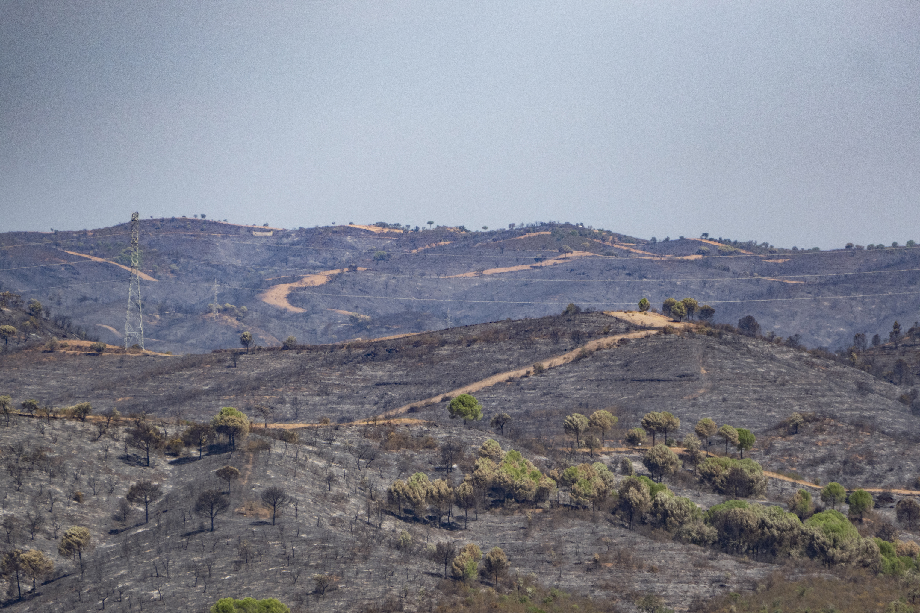 Stabilized the fire of Fog after 10 days and 38,000 hectares affected