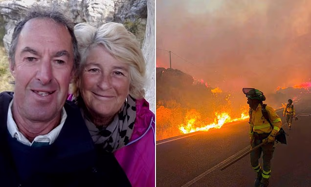Daily Mail (Mail Online) - Home