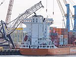 Person is rushed to hospital after a ship crashes into a crane at port - as pictures show mangled wreckage