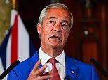 Nigel Farage's small boats plan savaged as France hits back over 'violation'