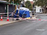 Man charged with murder after woman stabbed to death in west London