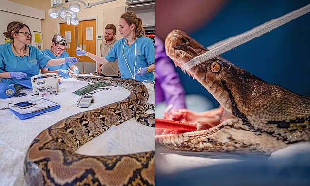 Daily Mail (Mail Online) - Home