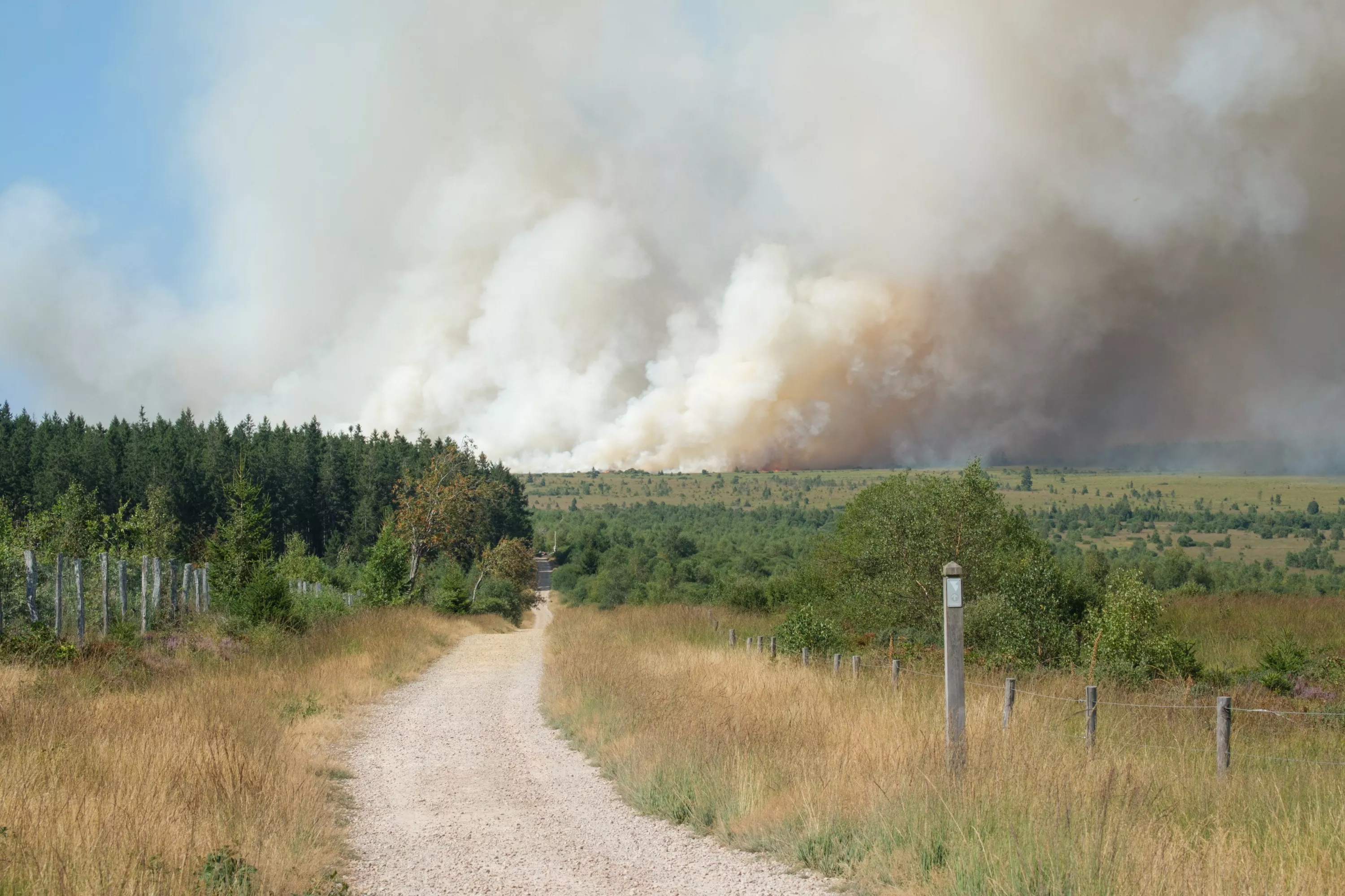 Belgium: at least 1650 hectares ravaged by fire, a village threatened with evacuation