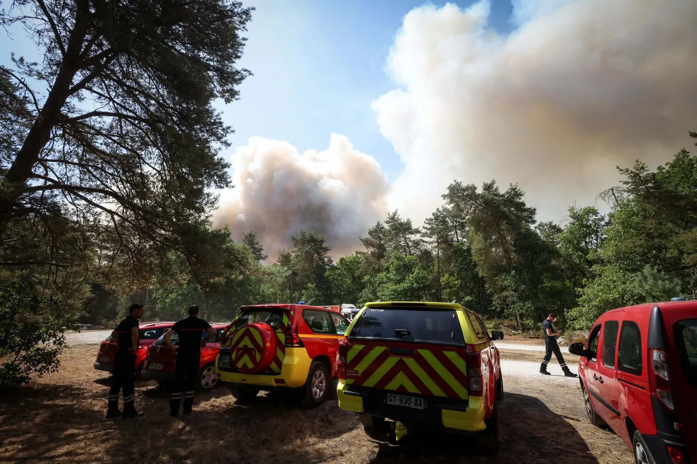 Fire of Fontainebleau: At the heart of the forest, people fight against the flames