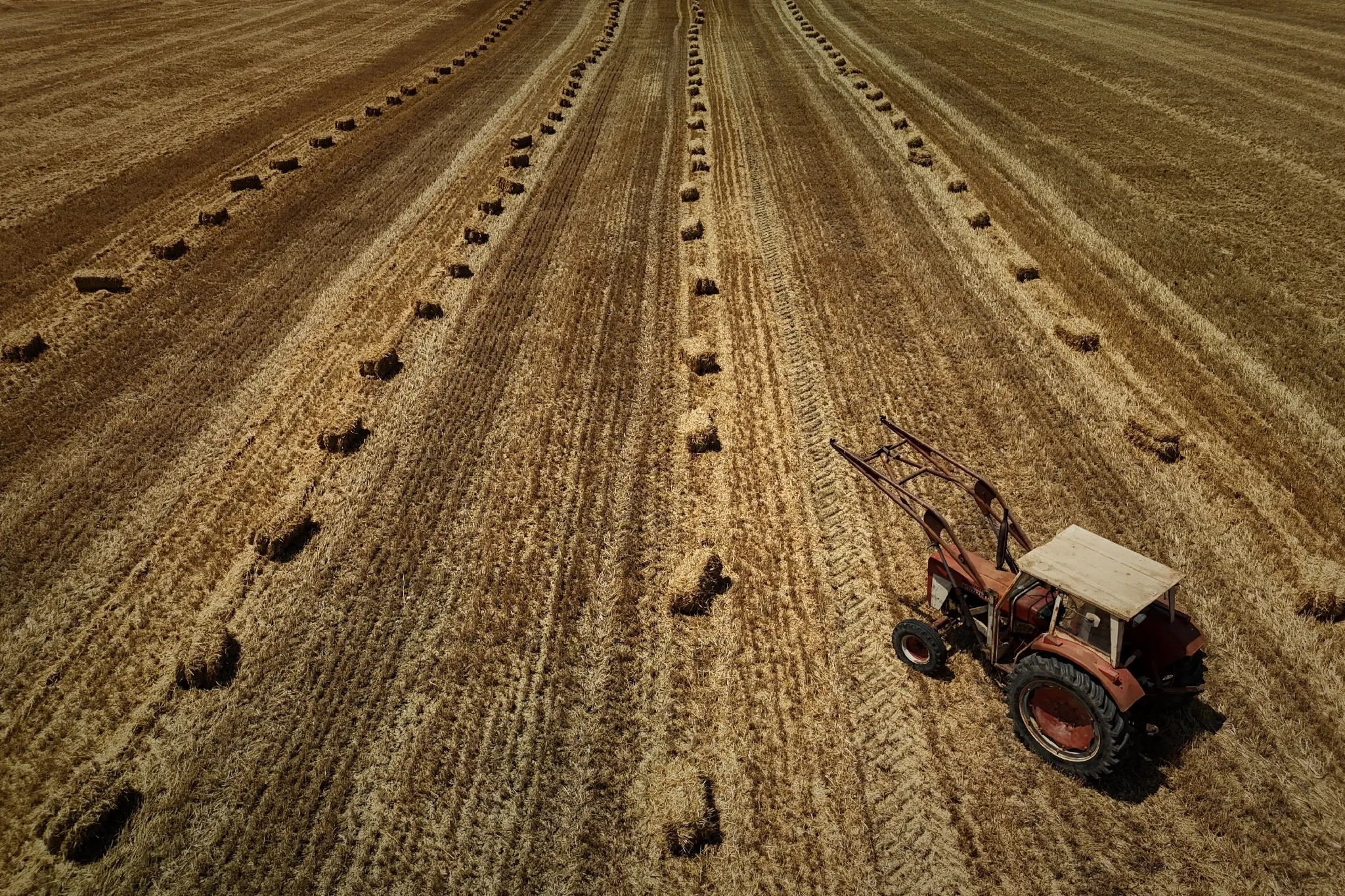 The Agricultural Emergency Act adopted by the National Assembly at a live session