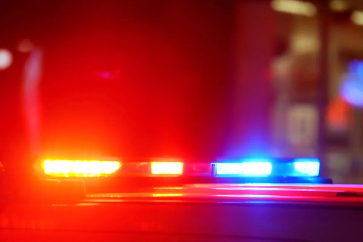 VIDEO: Man Survives after Jumping Naked Bridge in New York