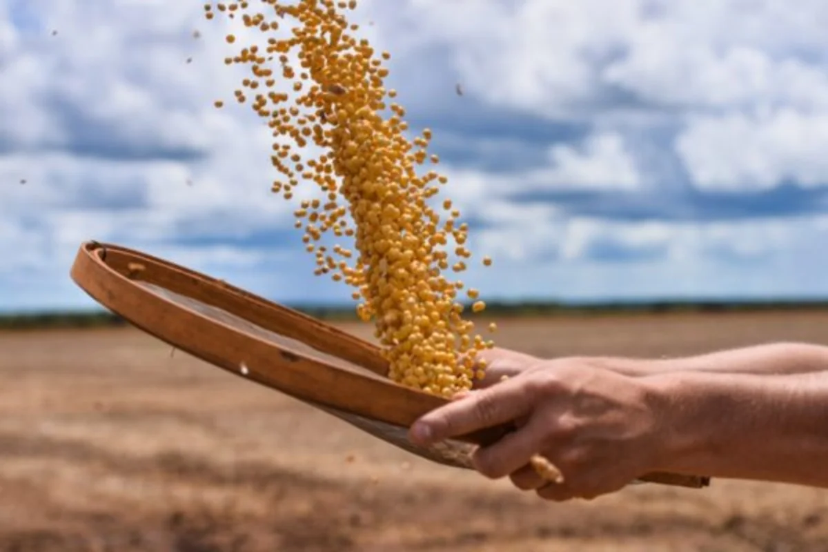 Requests for judicial recovery in agro rise 21.9% in the first quarter