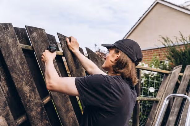Lawyer settles debate on who owns left side of garden fence