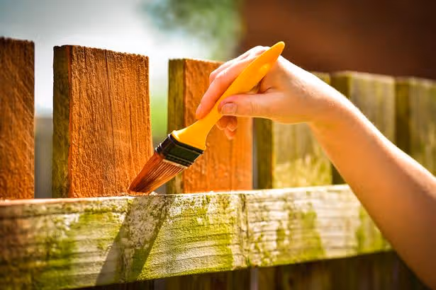 Easily paint garden fences using an everyday 46p item — no brush required