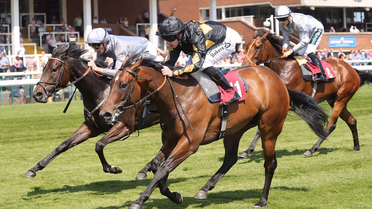 Claim a free pair of horse racing tickets in association with Racing TV