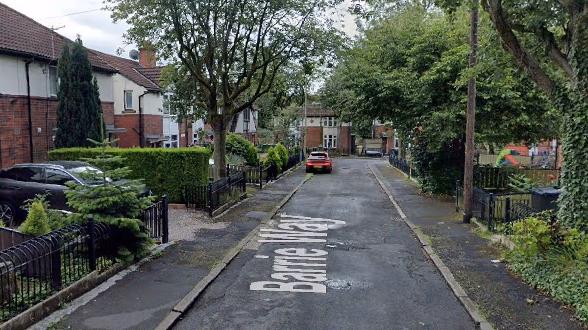 Armed police respond to 'dog attack' as three people hospitalised