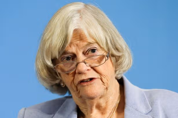 Ann Widdecombe murder probe: Suspect 'put wooden stick inside moss-covered car on day of ex-Tory MP's death'