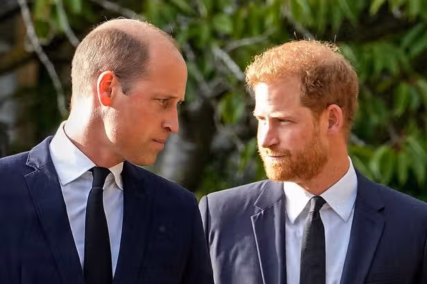 Daily Mirror - News