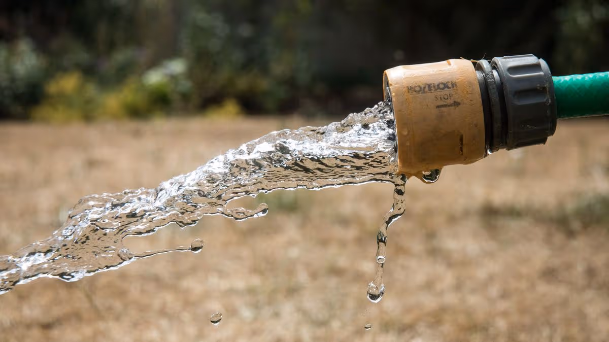 Hosepipe ban begins in Wales, who is exempt and what to do if you catch a neighbour using water