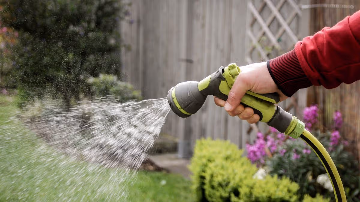 Hosepipe ban for 5million more people 'with immediate effect'