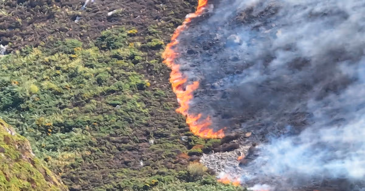 Fire service issues update on huge blaze which saw homes evacuated