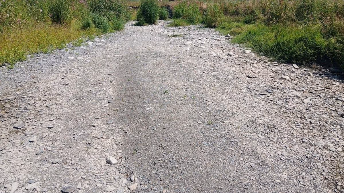 Wales breaking news plus weather and traffic updates Thursday, July 16