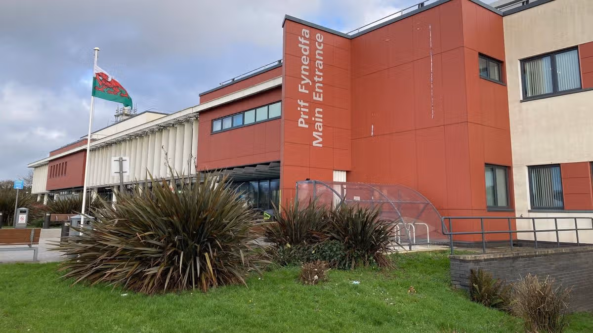 Woman hunted by police dogs, drones, and helicopter found hiding in hospital ceiling