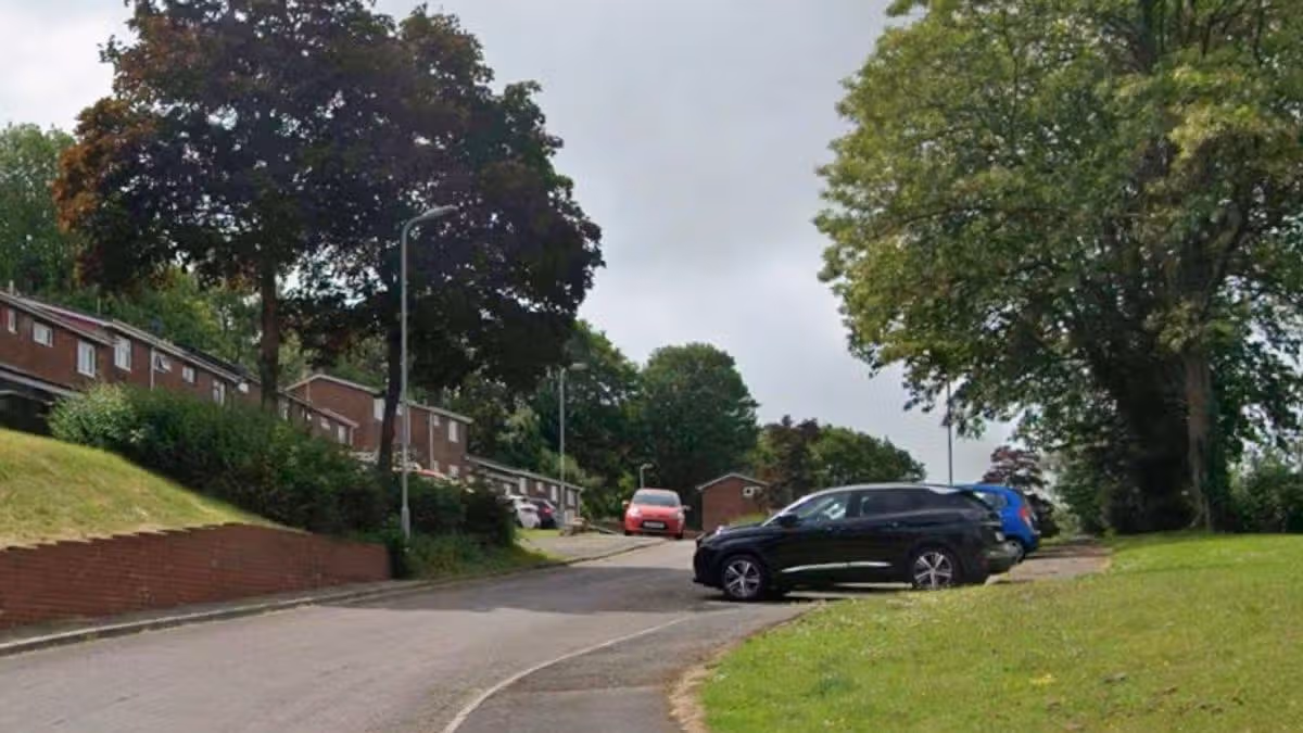 Woman dies after being run over by her own car