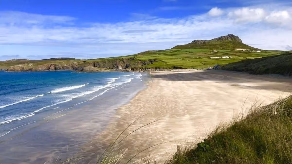 Dog owners warned before heading to beaches in Wales