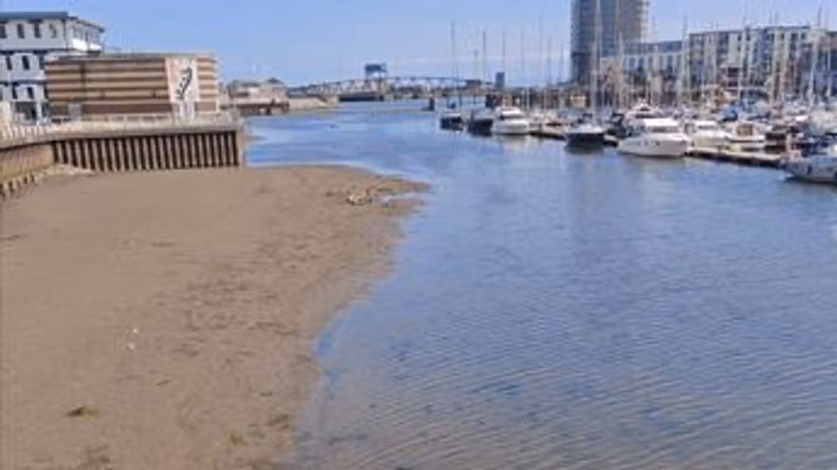 Swansea boat trips cancelled with river levels 'lowest in 20 years'