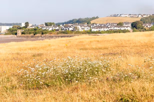 Met Office forecasts rain for parts of Wales - but not a lot and it will be dry for most