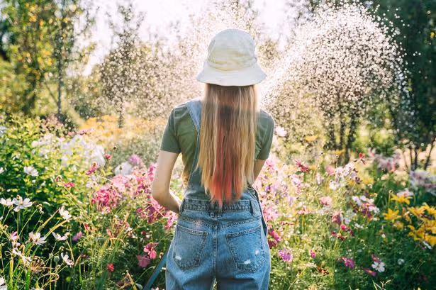 Man livid as neighbour steals from his garden to make hers better
