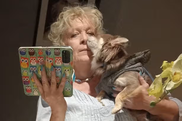 'My chihuahua knew I had cancer before doctors - he saved me'