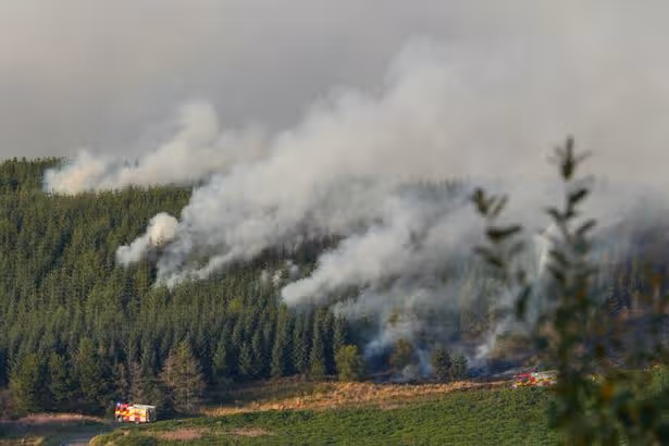 People living near Llanwonno mountain warned as fire tears through woodland